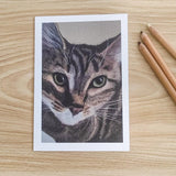Tabby Cat Card