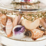 Coast Botanical Reed Diffuser 165ml