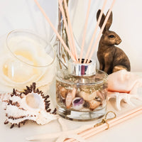 Coast Botanical Reed Diffuser 165ml