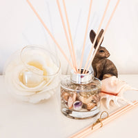 Coast Botanical Reed Diffuser 165ml
