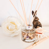 Coast Botanical Reed Diffuser 165ml