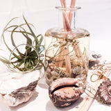 Coast Luxury Botanical Reed Diffuser (Large)