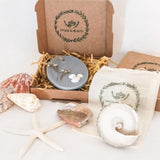 Coast Scented Botanical Soy Wax Melt - Room Freshener