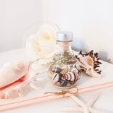 Coast Teardrop Botanical Reed Diffuser