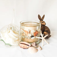 Coast Soy and Gel Wax Botanical Candle (Large)