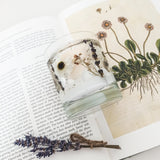 Daisy & Lavender Soy and Gel Wax Botanical Candle