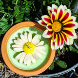 Handmade hygge daisy soy wax container candle in a terracotta plant pot placed next to outdoor brightly coloured flowers.