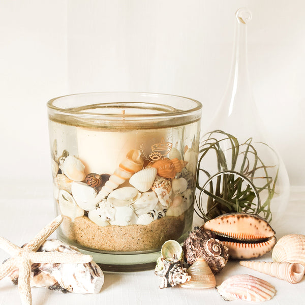 Coas large soy and wax scented botanical candle decorated with natural sand and shells. The candle rests on a white surface and background with neutral and white shells scattered around, in front of an air plant.
