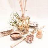 Coast Luxury Botanical Reed Diffuser (Large)