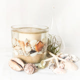 Coast Soy and Gel Wax Botanical Candle (Large)
