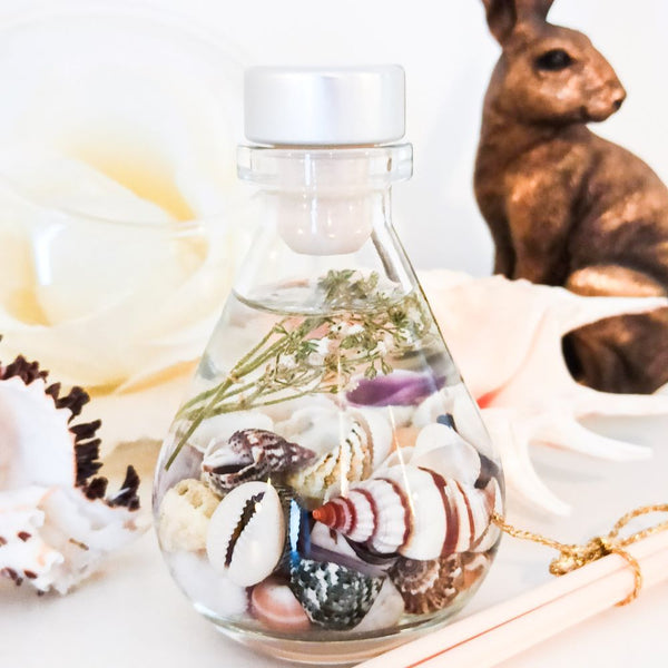 Coast teardrop diffuser 100ml. Handcrafted diffuser with shells and small white dried flowers in a teardrop shaped glass. The diffuser is placed on a white surface with large shells, reed diffuser sticks and a bronze hare ornament. 