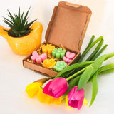 Floral Soy Wax Melts