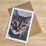 Tabby Cat Card