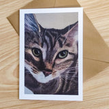 Tabby cat portrait drawn in pastel pencils and printed on to high quality water colour card stock. The card lies flat on a wooden desk next to its envelope.