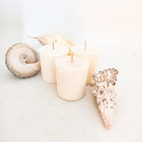 Set of 3 votive refills for regular and fishbowl botanical candles. The soy wax votives are on a white background surrounded by large shells.