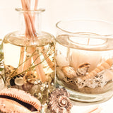 Coast Luxury Botanical Home Fragrance Set