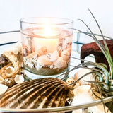 Coast Soy Wax Scented Candle Gel Tumbler.  A revitalising blend evocative of brisk coastal walks, ozonic sea air, sea shells and driftwood. Invigorating and uplifting. Hand decorated with shells. Reusable, comes with soy wax refill.